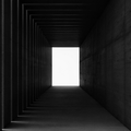 NOIR // TS-01